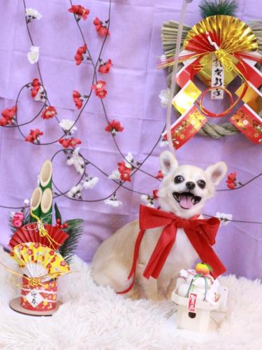 20230120ミルクちゃん